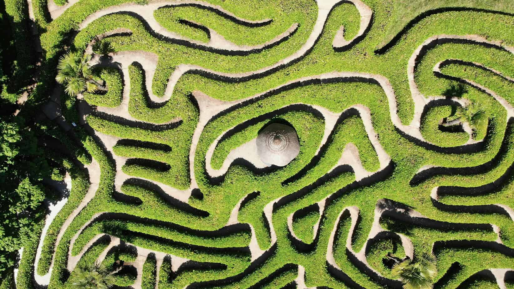 Maze garden